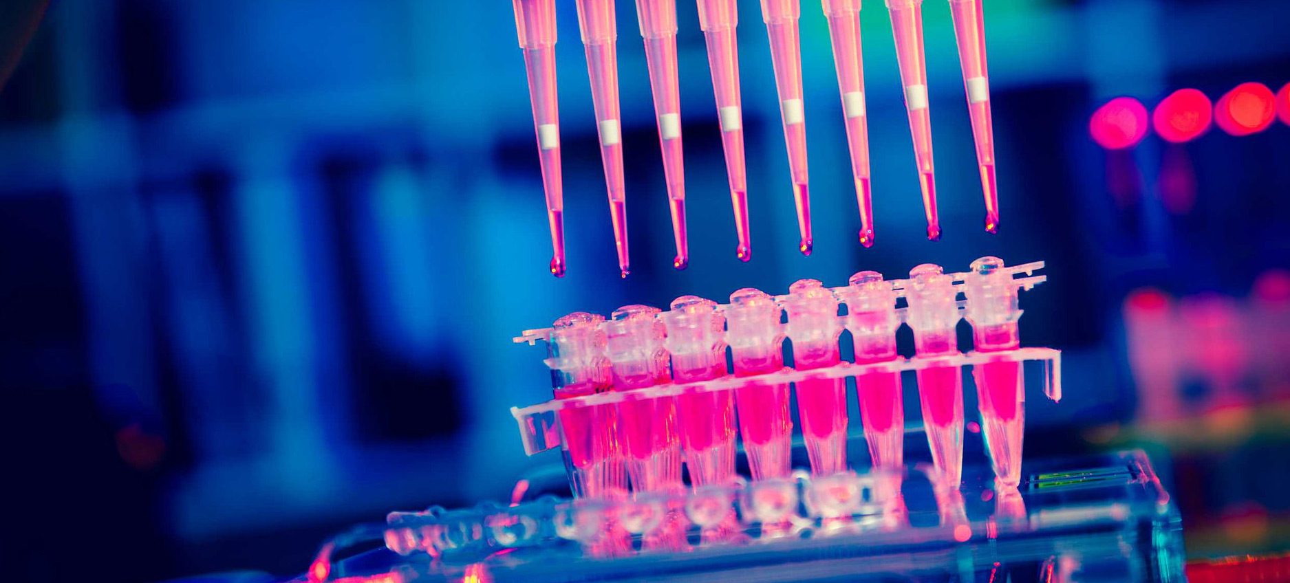 medicalbiology Lite Regal Education