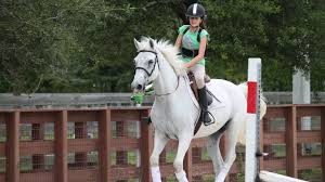 Summer Camp Horse Riding London